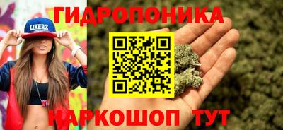 гидра Будённовск
