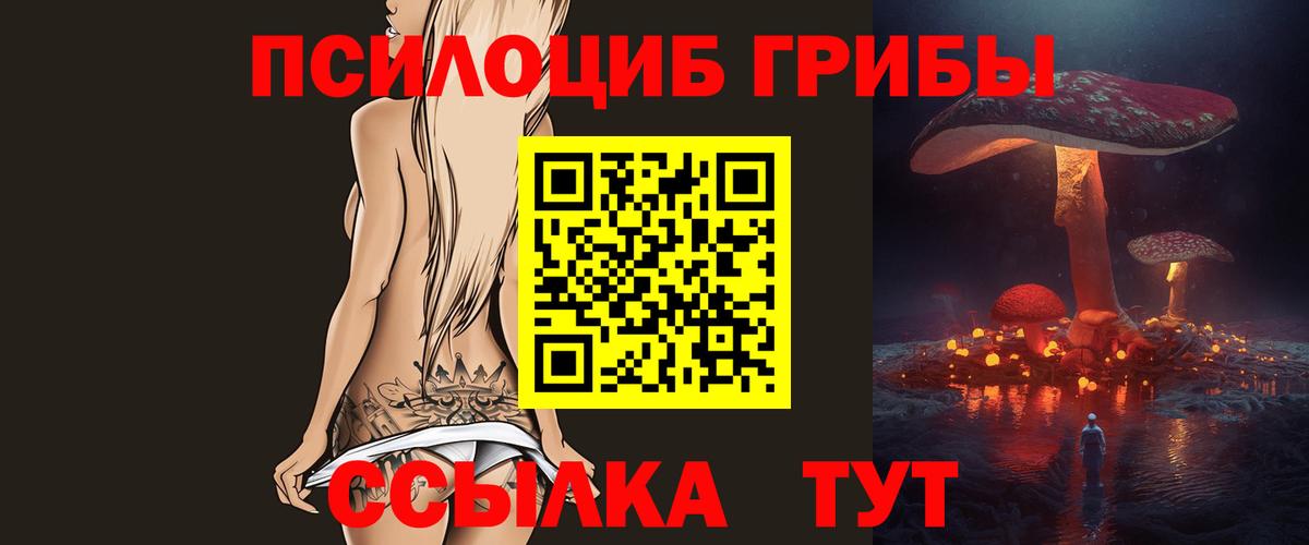 Сарапул  Псилоцибиновые грибы MAGIC MUSHROOMS  Вход с VPN 